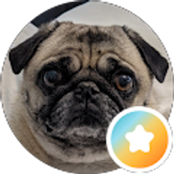 Profile photo of Albert Sta Cruz