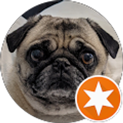 Profile photo of Albert Sta Cruz