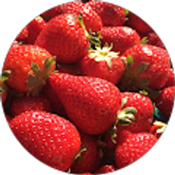 Profile photo of Katie P