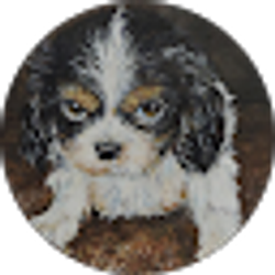 Profile photo of Teent B