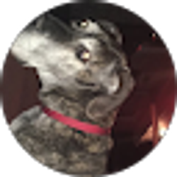 Profile photo of Auzzie Brereton
