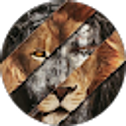 Profile photo of Elohim