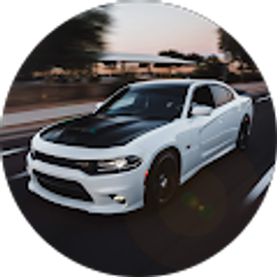 Profile photo of Garay Edgar