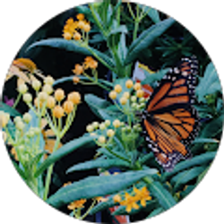 Profile photo of tori brown