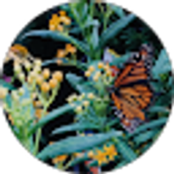 Profile photo of tori brown