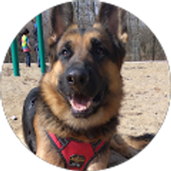 Profile photo of Raina Monaghan