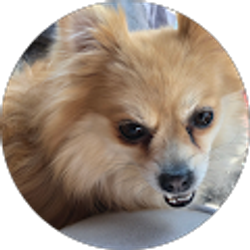 Profile photo of Joseph Bowles