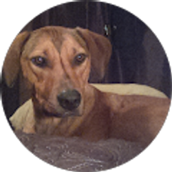 Profile photo of Richard Crowder