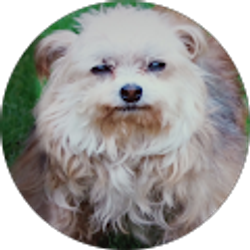 Profile photo of Sherri Cline