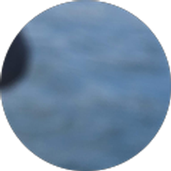 Profile photo of Demi