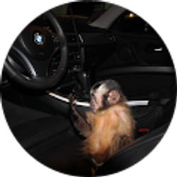 Profile photo of Noah Garza