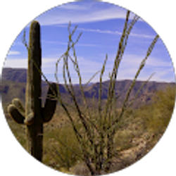 Profile photo of cindy h.