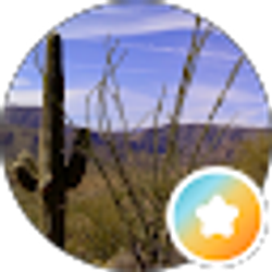 Profile photo of cindy h.