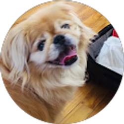 Profile photo of Arlene deCastro