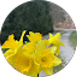 Profile photo of Allie Nicole