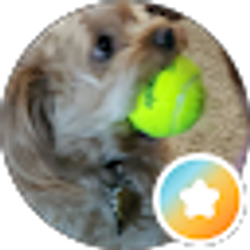 Profile photo of Not interested