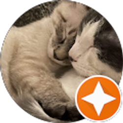 Profile photo of Jim Guthrie