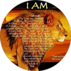 Profile photo of Kimberly Groves