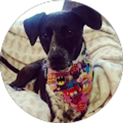 Profile photo of Robyn Ruis