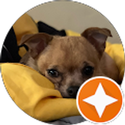 Profile photo of Mandy Blackwater