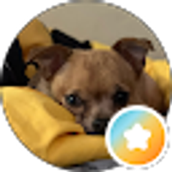 Profile photo of Mandy Blackwater