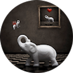 Profile photo of Drew Morris