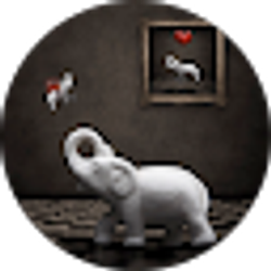 Profile photo of Drew Morris