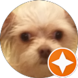 Profile photo of Edgar Horejas