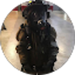 Profile photo of Ryan Varisco
