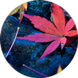 Profile photo of Nicki Ferguson