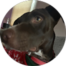 Profile photo of Jack Morley