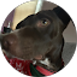 Profile photo of Jack Morley
