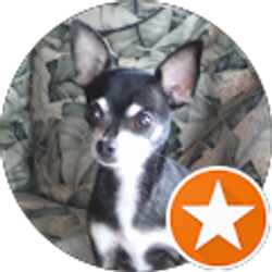 Profile photo of Dean Pfoutz