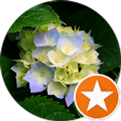 Profile photo of Nki Bailey