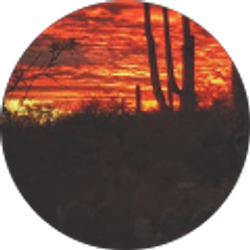 Profile photo of bloodmonkey 1