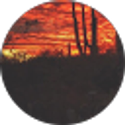 Profile photo of bloodmonkey 1