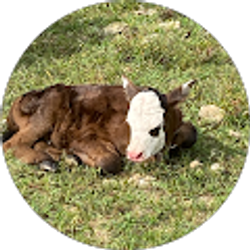 Profile photo of Angie Warren