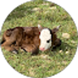 Profile photo of Angie Warren