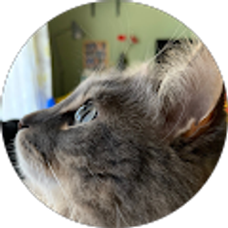 Profile photo of Jason Wang