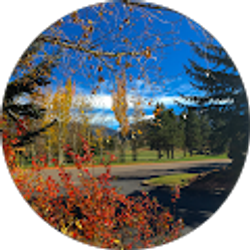 Profile photo of Ryan Dunn