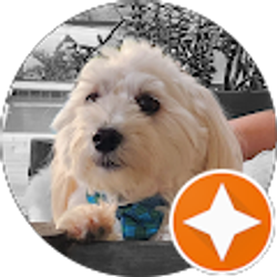 Profile photo of Ana Orrego