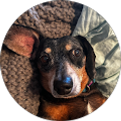 Profile photo of Devin Stallberg