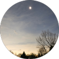 Profile photo of Jonell Augenstein