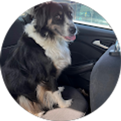 Profile photo of Shannon Moore