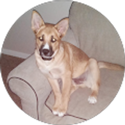 Profile photo of Krista B