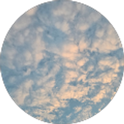 Profile photo of Nichelle Fugmann