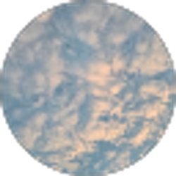Profile photo of Nichelle Fugmann