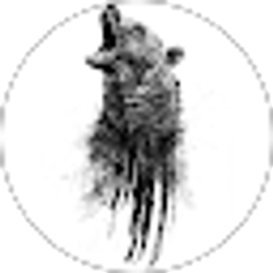 Profile photo of Alexander Wilson