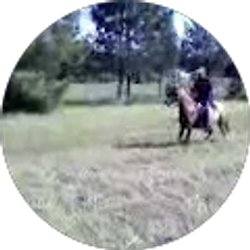 Profile photo of 4049pm