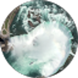 Profile photo of Tina Woodcock